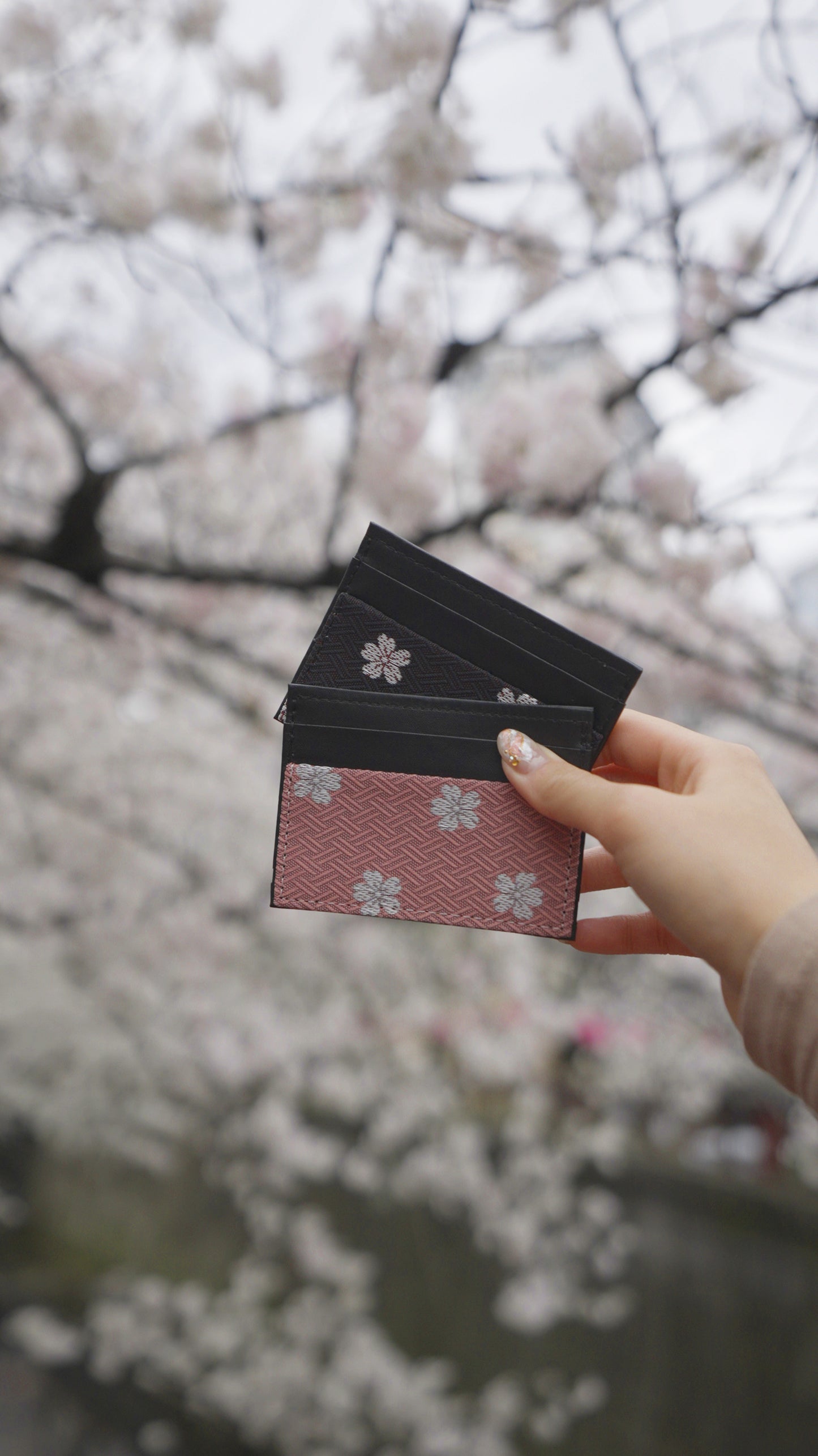 Tatami Hedge CARD HOLDER (PINK SAKURA)